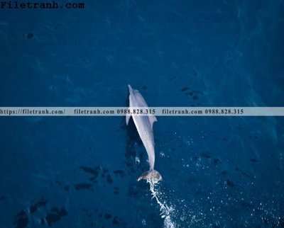 Chi tiết file tranh tráng gương phong canh dai duong 152 (ảnh gốc)