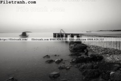 Tải file phong canh dai duong 166 (gốc) chủ đề hoa sen