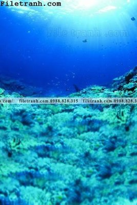 File gốc phong canh dai duong 220 (Filetranh.com) phong canh dai duong 220