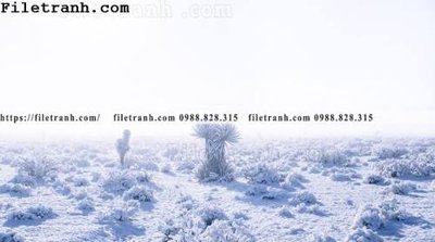 File tranh phong canh dep 103 (bản gốc) in lụa 3D