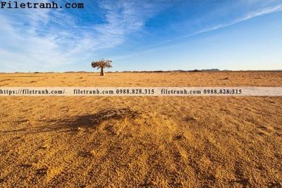 File PSD phong canh dep 147 (bản gốc) dễ dàng edit