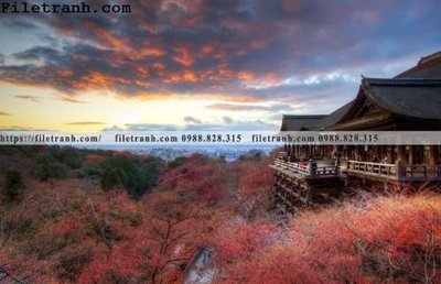 File tranh in trần 3D phong canh dep 156 (ảnh gốc)