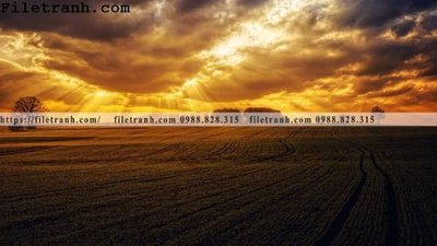 File gốc in ấn phong canh dep 160 (sẵn sàng tải về)