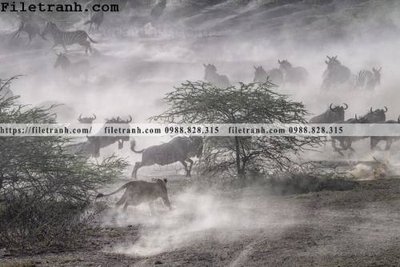 File tranh phong canh dep 264 (bản gốc) treo phòng ăn