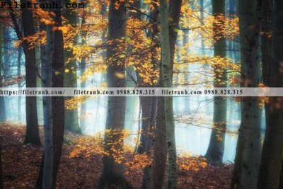 File tranh gốc phong canh dep 265 (bản quyền) Filetranh.com