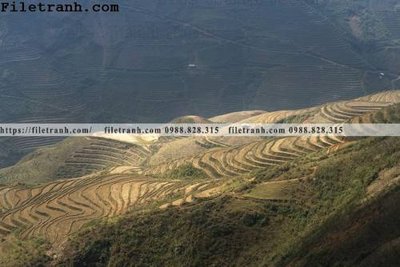 Tải file phong canh dep 288 (gốc) in ấn ngay lập tức