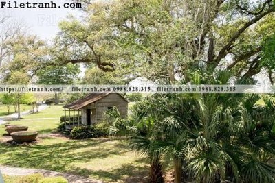 Ảnh gốc phong canh dep 296 (nét căng) in mica