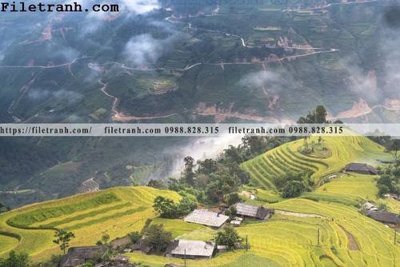 Tải file gốc in lụa phong canh dep 301 siêu nét