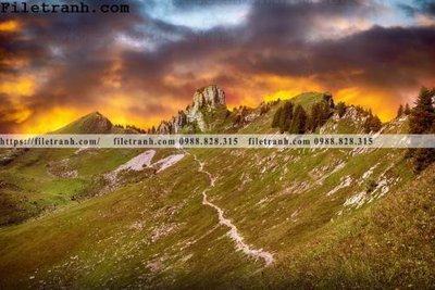 Ảnh gốc file in lụa phong canh dep 343 chi tiết