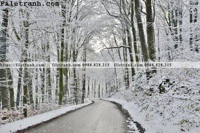 Download file gốc phong canh dep 370 (in mica) trong suốt