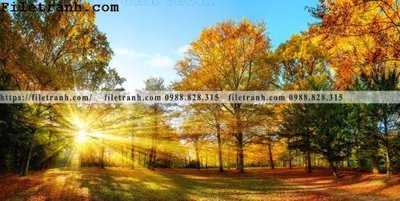 File gốc phong canh dep 377 (in mica) làm bảng hiệu