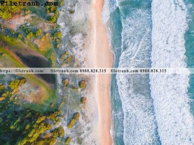 File in mica phong canh dep 401 (bản gốc) sắc sảo