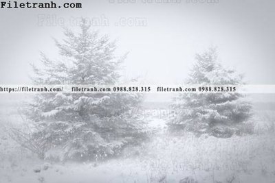 Tải file phong canh nui ngang 210 (ảnh gốc) file AI/EPS