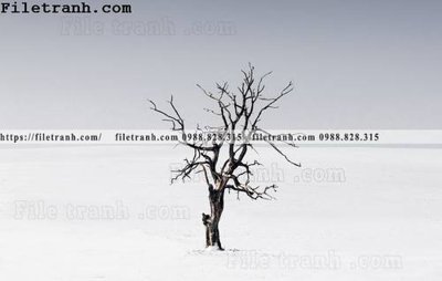 Download file gốc phong canh nui ngang 220 (in lụa) hoa lá