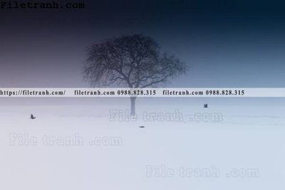 File tranh phong canh nui ngang 229 (ảnh gốc) in trần xuyên sáng