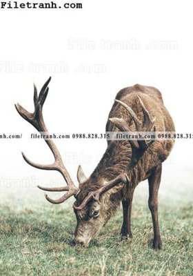 File tranh phong canh phong cach Bac Au tuoi moi 105 (gốc) in trên kính