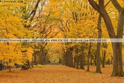 File gốc phong canh rung cay mua thu 501 (chuẩn màu) cho in offset