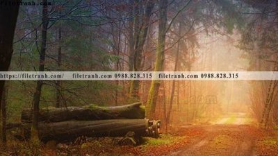 File PSD phong canh rung cay mua thu 506 (gốc) cho designer