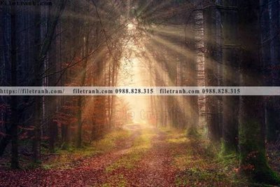 File gốc phong canh rung cay mua thu 511 (in 3D) nghệ thuật