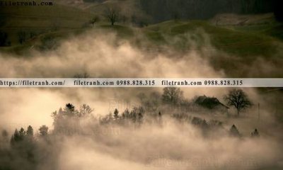 File in trần phong canh rung cay mua thu 515 (bản gốc) hoa văn