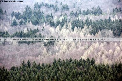 File tranh phong canh rung cay mua thu 522 (gốc) chủ đề tĩnh vật