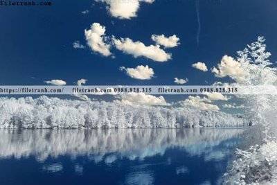 Tải file gốc phong canh rung cay mua thu 557 (in không vỡ ảnh)