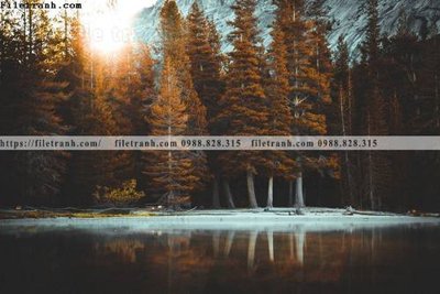 Tải file phong canh rung cay mua thu 561 (gốc) in ấn chất lượng