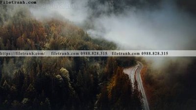 Ảnh gốc phong canh rung cay mua thu 564 (độ nét cao) in mica