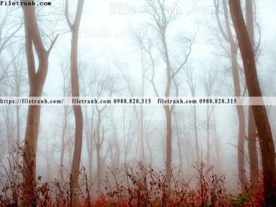 Download file gốc phong canh rung cay mua thu 568 (in mica) trong suốt