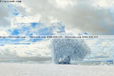 File tranh trang trí phong canh rung cay mua thu 577 (tải file gốc)