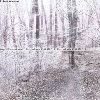 Tải file phong canh rung cay mua thu 589 (gốc) in trên mọi chất liệu