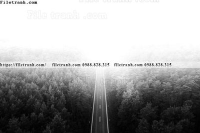 Tải file gốc phong canh rung cay mua thu 596 (bản PSD) đầy đủ layer