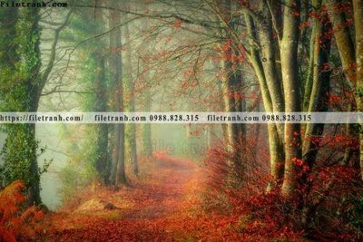 File tranh phong canh rung cay mua thu 617 (ảnh gốc) in trần 3D