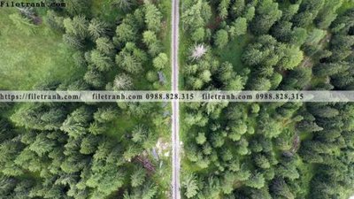 Hình ảnh file gốc in lụa phong canh rung cay mua thu 618