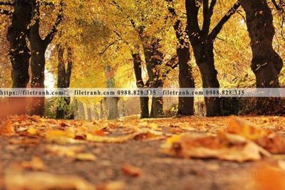 File tranh phong canh rung nui bien 504 (gốc) chủ đề động vật