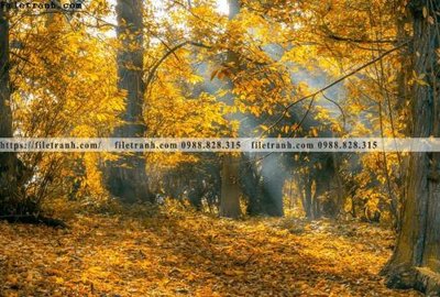 File in mica phong canh rung nui bien 515 (bản gốc) sắc sảo