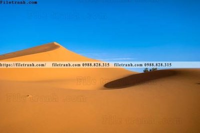 Tải xuống file tranh gốc phong canh rung nui bien 523 (PSD/TIFF)