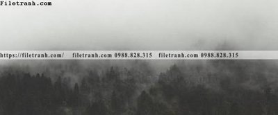 File gốc phong canh rung nui bien 534 (in lụa) cao cấp