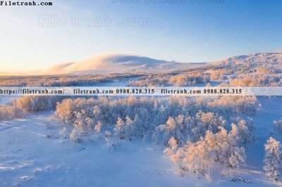 File tranh phong canh rung nui bien 574 (bản gốc) in canvas