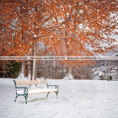 Tải file phong canh rung nui bien 620 (ảnh gốc) file TIFF