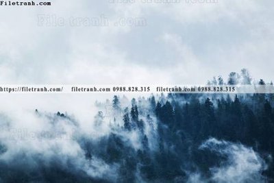 File tranh phong canh rung nui bien 622 (ảnh gốc) cho in ấn kỹ thuật số