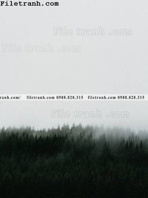 Tải file phong canh rung suong mu 110 (ảnh gốc) in tráng gương