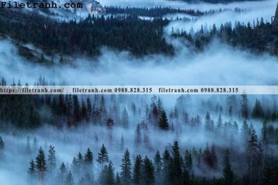 File tranh phong canh rung suong mu 112 (gốc) chủ đề thiên nhiên