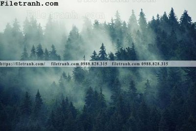 File PSD phong canh rung suong mu 114 (nguyên bản) cho thiết kế