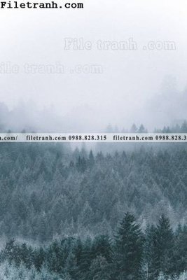 File in lụa phong canh rung suong mu 123 (chất lượng cao) phong canh rung suong mu 123