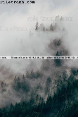 File tranh in mica phong canh rung suong mu 135 (độ phân giải cao)