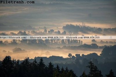 File gốc phong canh rung suong mu 140 (trang trí) phòng trẻ em