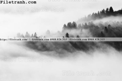 File ảnh phong canh rung suong mu 146 (gốc) in biển hiệu