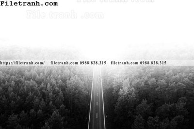 Tải file phong canh rung suong mu 147 (gốc) in nhanh