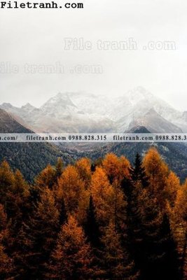 File gốc phong canh rung suong mu 149 (AI/EPS) cho in ấn